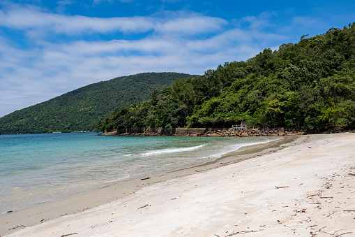 paradise beach with tropical forest in brazil sunny day, ilha anchieta ubatuba north coast of san pablo brazil