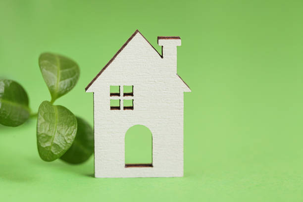 istock Net Zero Transition. Sustainability credit. white Home, Green Leaf on green background. Copy space 1360720951