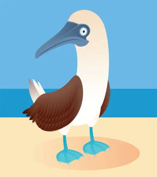 Vector illustration of Blue-footed booby