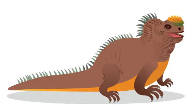 Vector illustration of Iguana