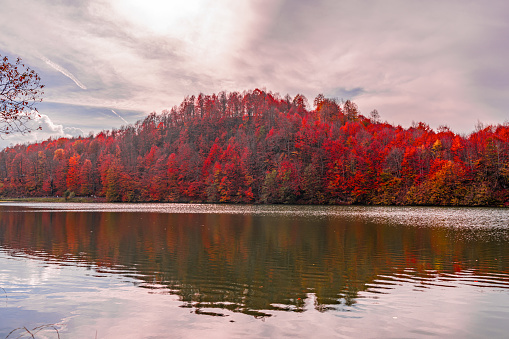 A landscape like a created by the lake and autumn breezes