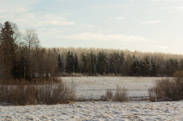 istock The first snow fell in autumn 1360724429