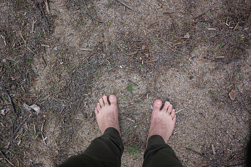 bare feet are grounded in the forest
