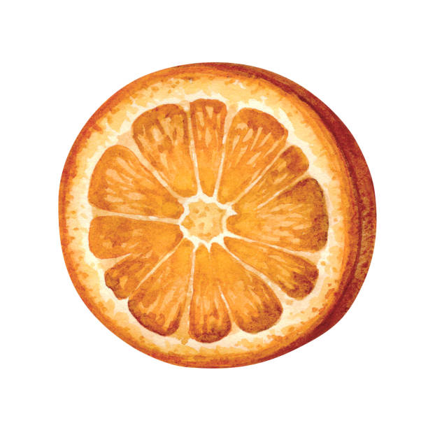 istock Watercolor illustration of orange slice isolated on white background. Bright fruit collection. 1360725269
