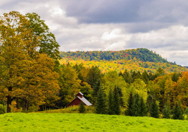 istock fall foliage in Vermont landscape 1360728792