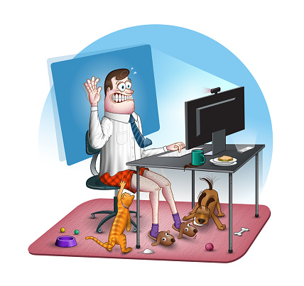 A man working from home, using computer and being distracted by a cat and a dog while having a remote meeting.