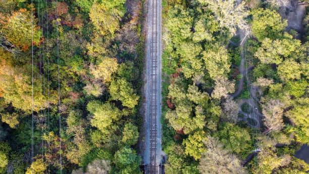 istock Aerial view: train among tree band at the forest scene in summer. 1360750882