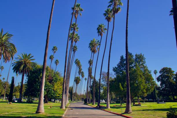 istock Hollywood Forever Cemetery 1360753329