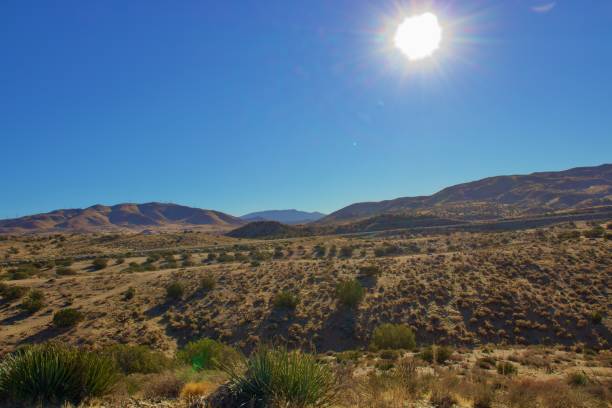 istock Mojave Desert Landscape 1360754032
