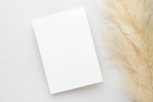 istock White invitation card mockup with a pampas grass on grey background, Minimal grey workplace composition, flat lay, mockup 1360756542