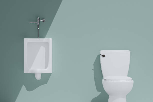 istock Commercial Toilets - Urinals -3D Rendering 1360760632