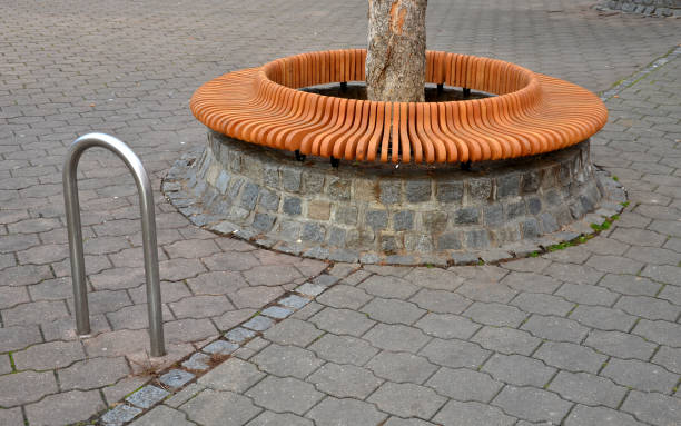 istock tree bowls raised above ground square fitted around perimeter with circular benches composed of smaller planks bypassing trunk of the tree. paving of flowerpot is gradually paved granite cube, cubes 1360764972
