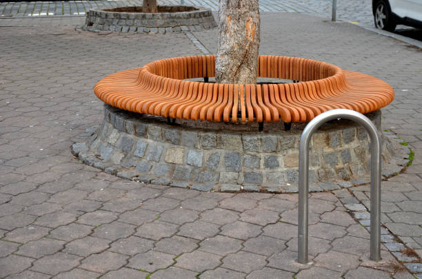 istock tree bowls raised above ground square fitted around perimeter with circular benches composed of smaller planks bypassing trunk of the tree. paving of flowerpot is gradually paved granite cube, cubes 1360764974