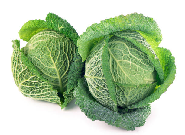 istock Savoy Cabbage heads Isolated on White Background 1360769477