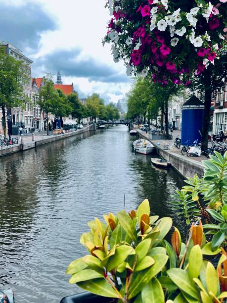 istock Beauty in Amsterdam 1360770266