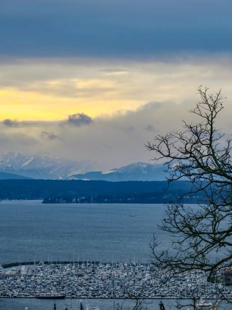 istock A Cold Winter Evening in Puget Sound and the Pacific Northwest 1360770321