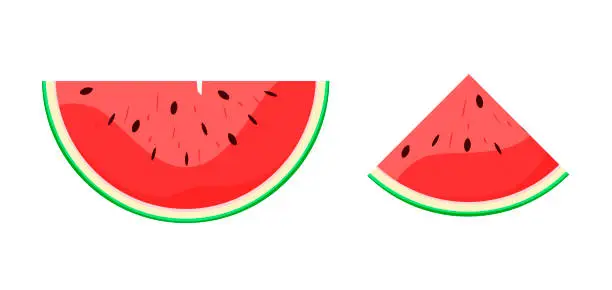 Vector illustration of Watermelon slices