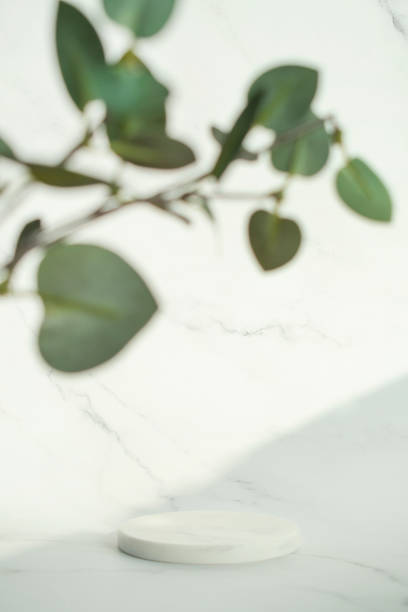 istock The platform and marble background for the product shoot 1360772156