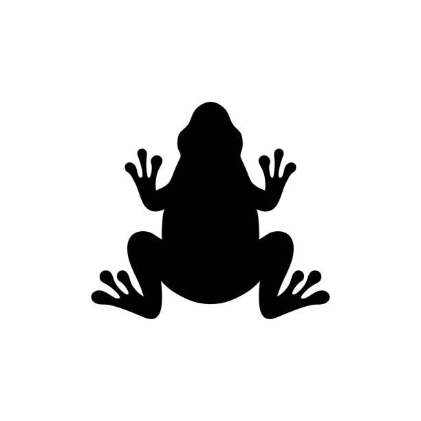 ilustraciones, imágenes clip art, dibujos animados e iconos de stock de plantilla de diseño de icono de rana vector aislado - sapo