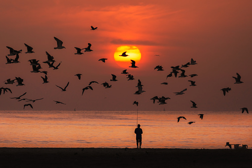photo taken from salalah beach.. sunset with birds and fisherman
