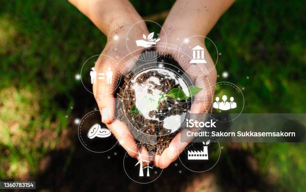 Esg Icon Concept Circulating In The Hands Of Young Women For Environment Society And Governance Sg Esg Forest Conservation Concept Environmental Social And Governance Concepts Stock Photo - Download Image Now