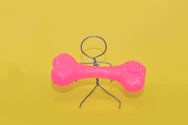 istock Metal wire man holding a toy dog bone 1360783251