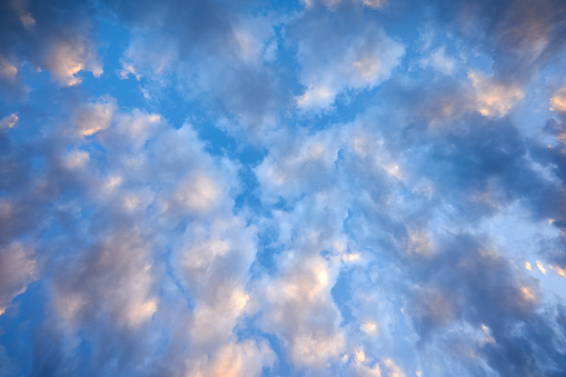 close up view of the blue sky, partially covered with white lightweight clouds, colored of orange by the sunset light, seen from behind the trees