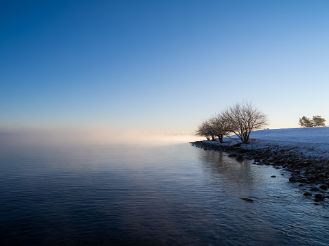 Trees and sea smoke at Asunden Gotland an early winter morning in december