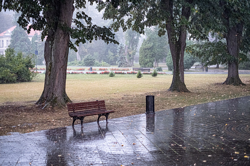 Raining in the public park