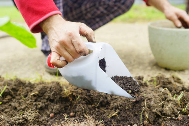 istock Reuse old plastic bottle in gardening. Save planet background 1360797921