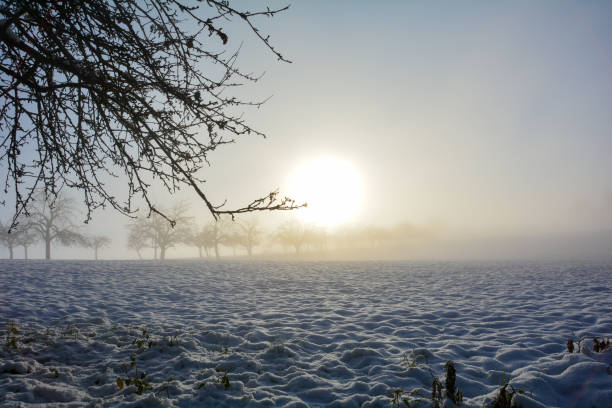 istock Snow-covered landscape with trees  at sunrise 1360798902