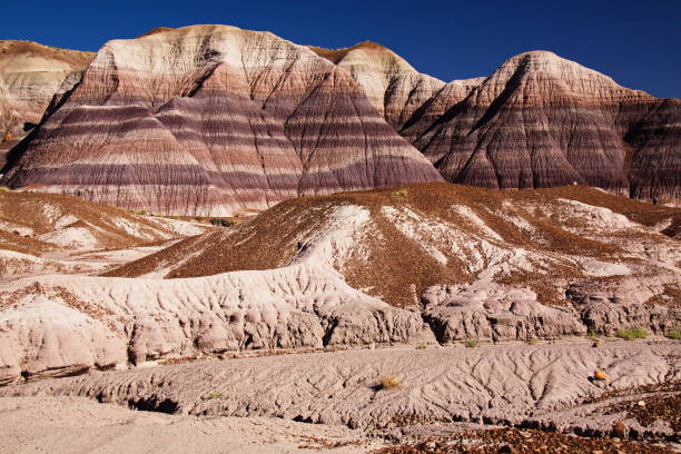 米国アリゾナ州の石化森林国立公園のブルーメサトレイルの風景 - petrified forest national park ストックフォトと画像