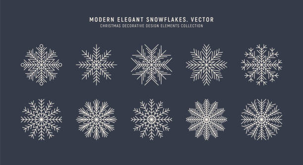 illustrazioni stock, clip art, cartoni animati e icone di tendenza di elegante moderno ornato fiocchi di neve vector set stile vintage isolato sullo sfondo - silhouette snowflake backgrounds holiday