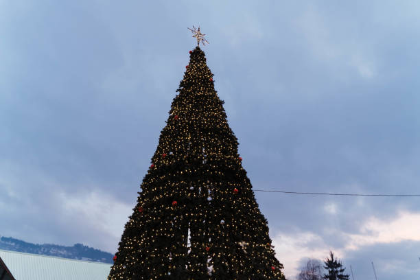 istock Close-up of a christmas tree branch with decorative balls. 1360804055