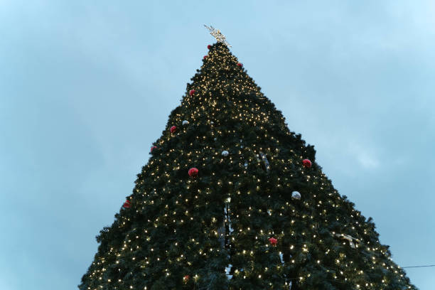 istock Close-up of a christmas tree branch with decorative balls. 1360804075
