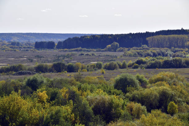 istock Autumn valley of the Iren river 1360804291