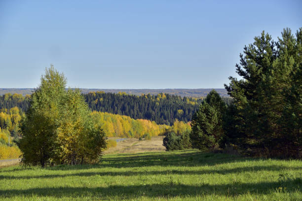 istock Collective farm fields with harvested crops 1360805003