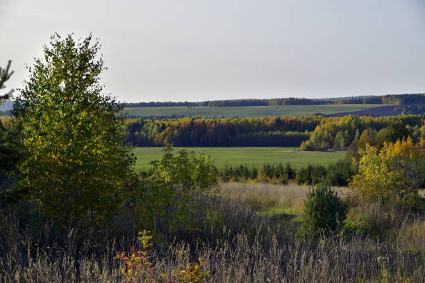 istock Collective farm fields with harvested crops 1360805069