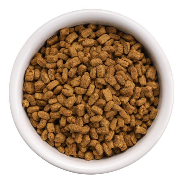 istock Products for pets in a white bowl isolated on a white background. 1360805206