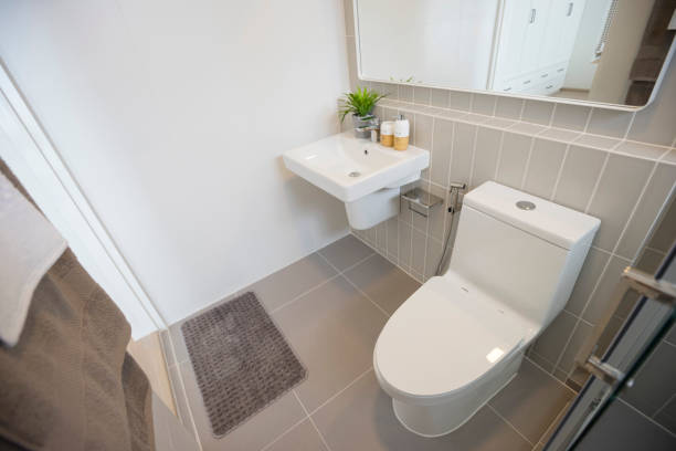 istock New bathroom and water closet with shower room interior. 1360805953