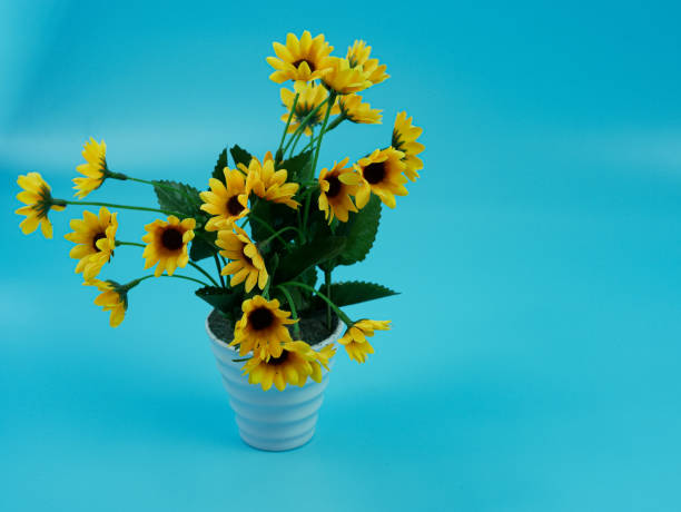 istock artificial sunflower in pot isolated on blue background 1360810558