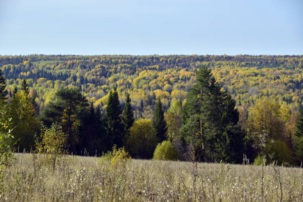 istock Bright autumn colors of the endless Ural forest 1360812382