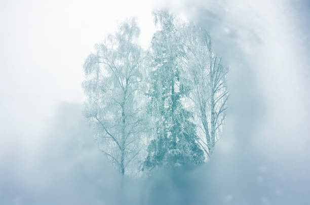 View through blurred frozen window glass.Selective focus.