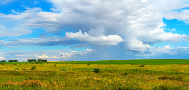 istock Summer rural panoramic landscape with green fields and hills. 1360815645