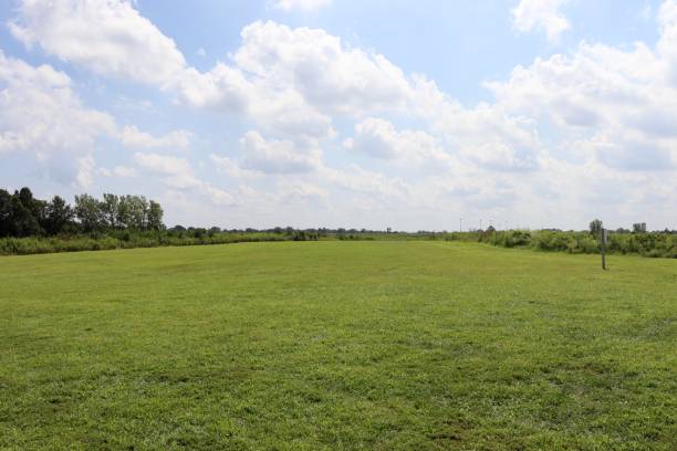 istock Green Grass Country Field 1360816478