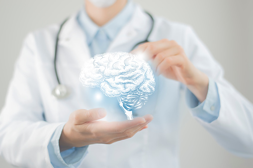Médico irreconocible sosteniendo el cerebro resaltado en las manos. Ilustración médica, plantilla, maqueta científica. photo