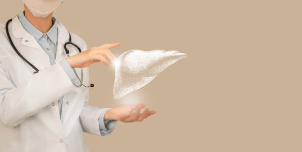 Unrecognizable doctor holding highlighted handrawn Liver in hands. Medical illustration, template, science mockup. Female doctor holding virtual volumetric drawing of Liver in hand. Handrawn human organ, copy space on right side, beige color. Healthcare hospital service concept stock photo liver failure stock pictures, royalty-free photos & images