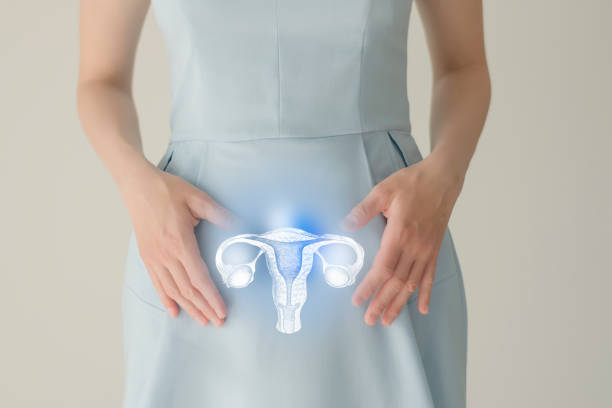 Woman in blue clothes holding virtual uterus in hand. Handrawn human organ, detox and healthcare, healthcare hospital service concept stock photo stock photo
