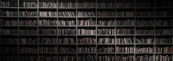 shelves with books in library background