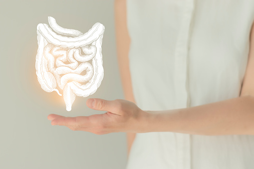 Digital medical illustration: X-ray of human digestive system, with large intestine highlighted. Anterior (front) view. This is a rendering from a digital model.